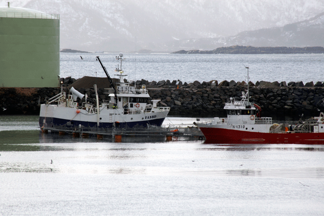 Torskemerdene Norway Seafods Melbu